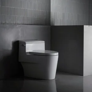 Bathroom Sanitary Ware  Ceramic Toilet Pit Spacing Integrated Flush Toilet