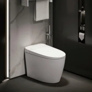 Sanitary ware smart toilet automatic flushing toilet Chinese toilet factory manufacturer