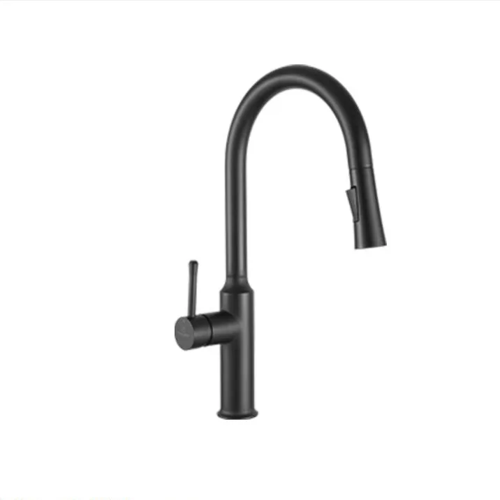 304 Stainless Steel BrushedHot and Cold Mixer KitchenFaucets